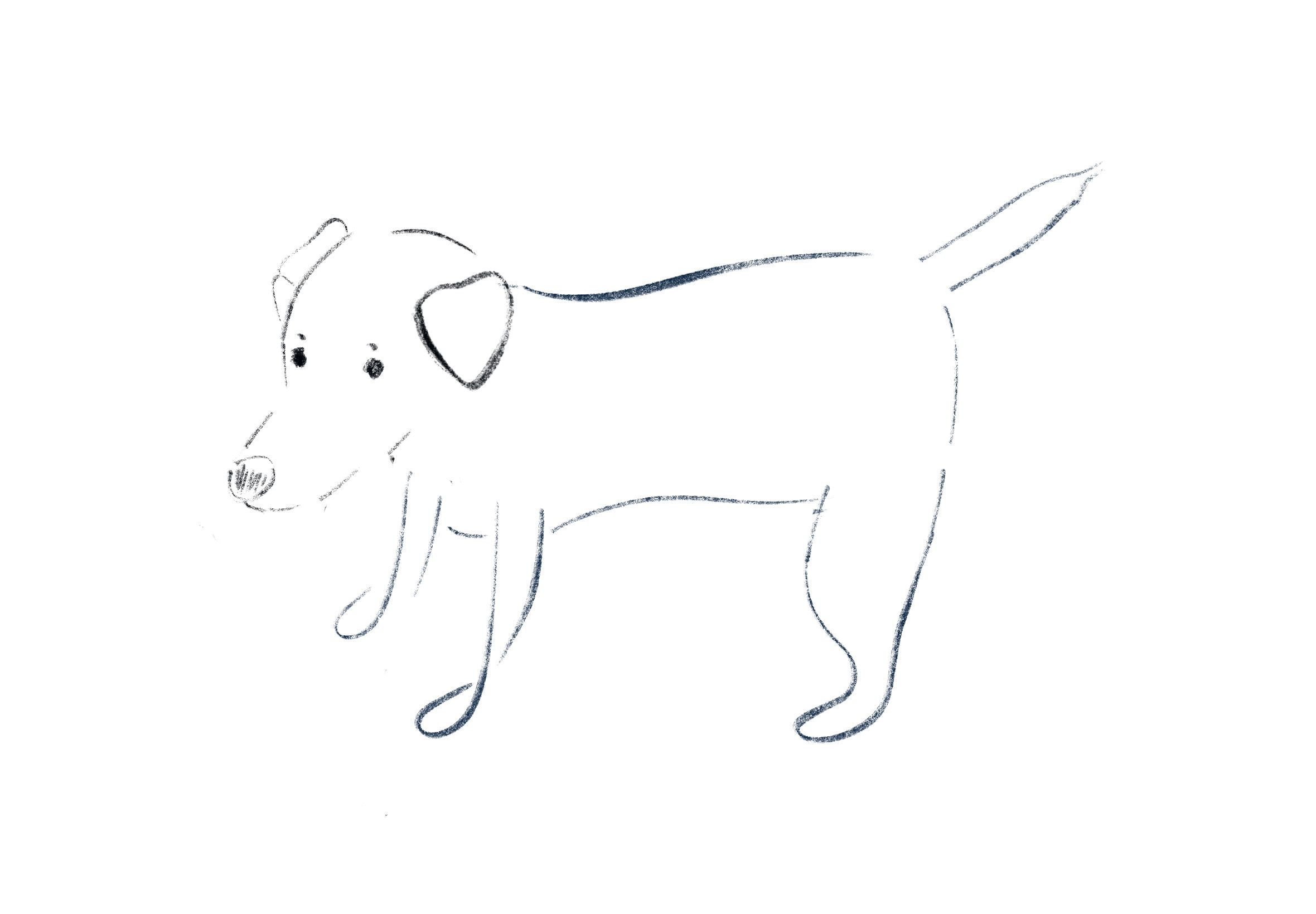 犬 筆