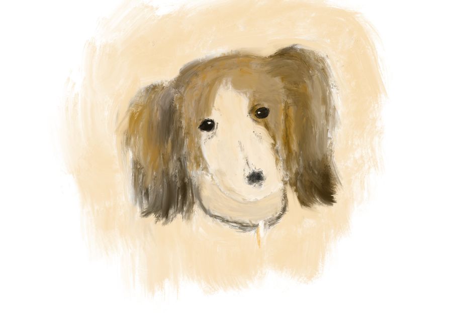 犬 油絵