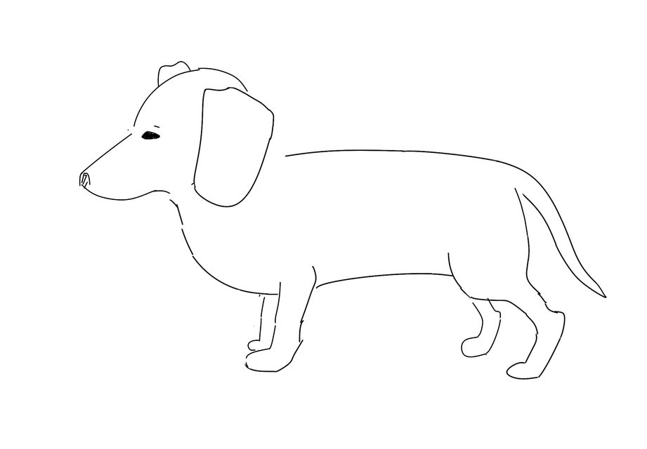 犬 ペン